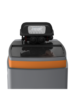 Ecosoft Anthracite Gold 250 adoucisseur d’eau de puits 