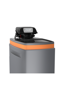 Ecosoft Anthracite Gold 250 adoucisseur d’eau de puits 