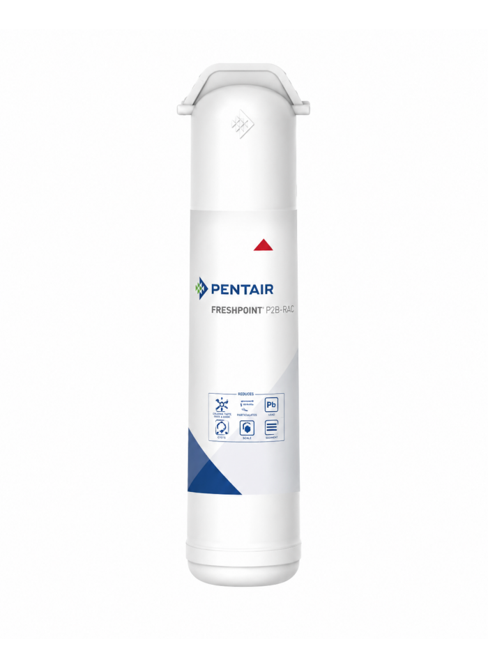 Cartouche de remplacement Pentair FDF1-RC