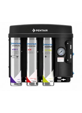 Osmoseur Pro Pentair Everpure EZ-RO BL 200 18L RVP EU Café