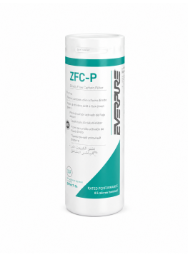 Cartouche de Remplacement Pentair Everpure 2FC-P — PFOAPFOS, Chlore, Plomb
