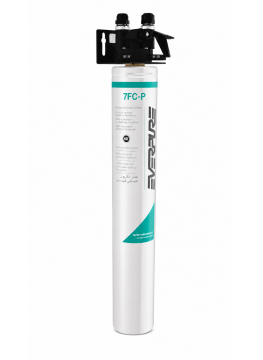Système de Filtration Pentair Everpure QL3B-7FC-P — PFOAPFOS, Chlore, Plomb